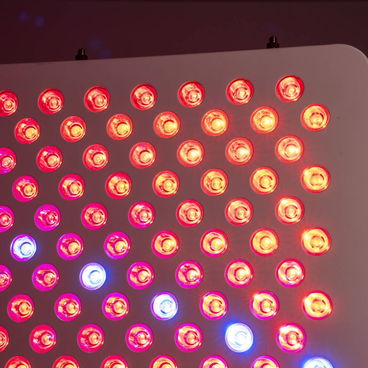 KULA THRYV Red Light Panel